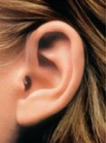 Receiver in the Canal Hearing Aid Receiver in the Canal Hearing Aid